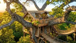 Forest Treehouse Build (ASMR) &ndash; A Woman Builds a Wooden Cabin on a Giant Ancient Tree Alone