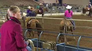 SHINE YOUR ZIPPER 2014 Mare by Shine On Line
