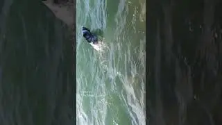 MERMAID IN LAKE CHARLEVOIX (Boyne City, MI) #shorts
