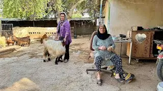 A Devoted Daughter Helping Her Sick Parents | Rural Village Life