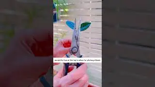 Tips for your garden #satisfyingvideo #motivationgarden #gardening #viral2025 #garden #backyards