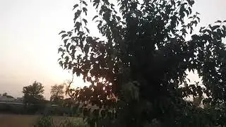 Ak din Choti bahan k ghr🤗Canal Avenue Bhakkar 😉Vlog Home Life 👍