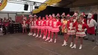 Neustadtfunken im Wiesdorfer Festzelt (12.02.2015)