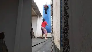 Pitbull training vertical climbing #bulldogs #pitbulldogs
