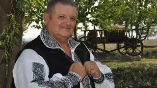 Petrica Moise si Virtuozii Banatului - Banatan mi-s pana mor
