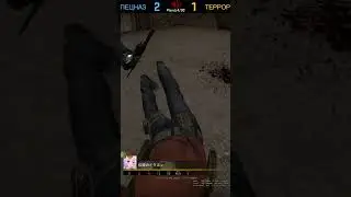 очень интересный скин #csgo #csgofan #xomkastream #хомкастрим