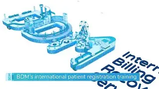 BDM International Billing & Recovery Services :: User's Guide