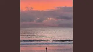 Reflections