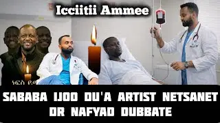Sababa Ijoo Du'a Artisti Netsanet Dr Nafyad dubbate