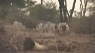 The 'Singing Wells' of drought stricken Kenya
