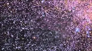 Watch Entire Galaxy Being Ripped Apart