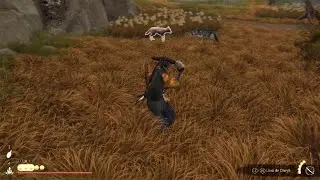 Dog NPC x Lobo NPC