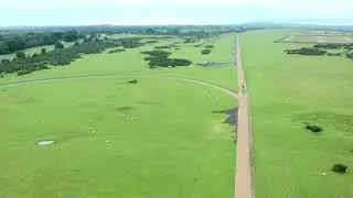 Maddenstown Gallops on the Curragh Training Grounds, Co. Kildare