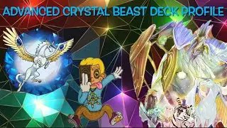 ADVANCED CRYSTAL BEAST DECK PROFILE!! (August 2024)