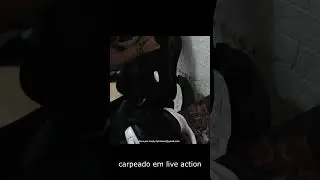 carpeado em live action ! #engra&ccedil;ado #cachorro #animals #live #shorts #thewitcher #gameplay