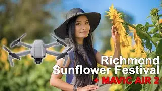 Drone Video Richmond Sunflower Festival Vancouver BC Mavic Air 2 DJI - galleryss & rocketgecko