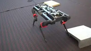 Reactive Walking Controller for Solo-12