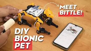 DIY Bionic Robot Dog | Petoi Bittle 