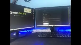 Begging for gamesense invite (documentary video) Dr4in#2966