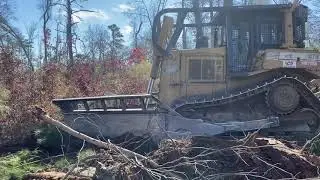 LAND CLEARING... Cat D7H with V Blade.... making Pasture