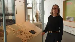 Bezoekerscentrum Tenellaplas is vernieuwd!
