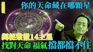 倪海厦：你的「天命」藏在哪顆星？揭秘紫微14主星「福氣說明書」，找對你的「天命」，福氣擋都擋不住！#倪海廈 #紫微斗數 #命理 #天命 #事業 #創業 #人生規劃 #性格 #賺錢 #國學