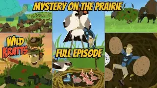 Wild Kratts S03E10 - Mystery on the Prairie (Full Episode)