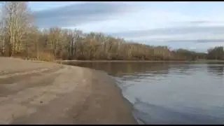 Caterpillar Island, the Voyage Home