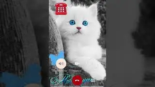 iPhone 14 Pro Ringtone + Cute Cat😺#shorts #shortsfeed #iphoneringtone