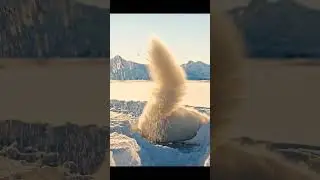 Fox Waves Goodbye Trips Immediately | Funny Animated Short | Ease Loop