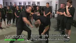 Warrior Martial Arts Krav International Rank Certification 2025