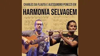 Harmonia Selvagem