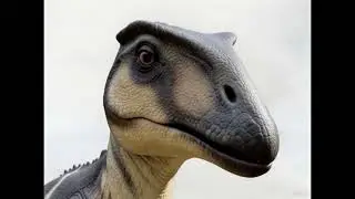 Brachylophosaurus dinosaur 🦖🦕