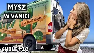 VANLIFE CHILE | Mamy pasażera na gapę!