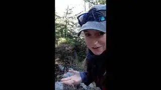 City Nature Challenge 2020 - Young Naturalists explore Halifax Regional Municipality