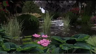 3D Pond and Stream Design | Getting Started Tutorial