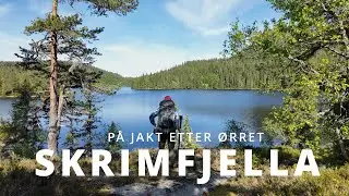 Skrimfjella - P&aring; jakt etter &oslash;rret