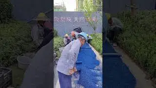 Cold-mix asphalt construction site