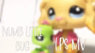 LPS MV-Numb Little Bug