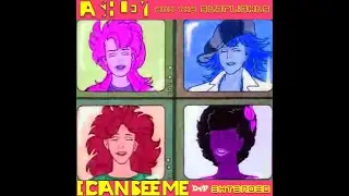 23 I can see me (DvF Extended) Instrumental
