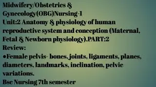 Female pelvis|Bones|ligaments|joints|diameters|incrination|pelvis variations|Unit2|part2|bscnursing|