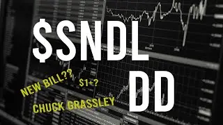 $SNDL stock DD & Technical analysis - Stock overview (10th Update)