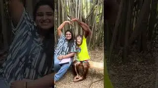 చింపాంజీ తో సరదాగా #BangkokDiaries #MadamAnthe #Strikers