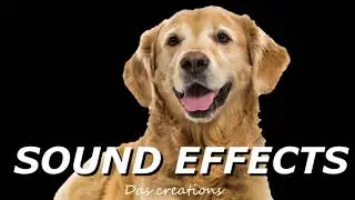 Dog Barking   Sound Effect#soundeffects