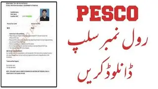 Pesco Roll No Slip 2022