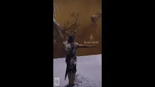 |VF| Elden Ring: Низовье Глубокого Корня (внутреннее спокойствие) |Rus| Stream #8 ►