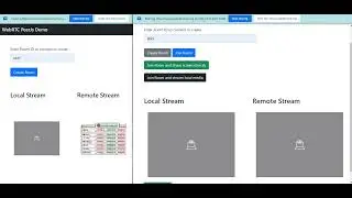 WebRTC Demo using Peer JS | Join room and share screen