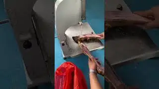 Ultimate Meat Cutter in Action: Watch the Machine Work! #MeatIndustry #ButcherShop #TechRevolution