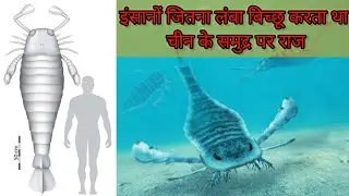 इंसानों जितना लंबा बिच्छू | 43 करोड़ साल पहले खाता था मछलियां 😳😱| #scorpion #viral #geofied