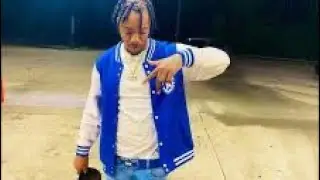 Blu Rollin-Gang Land (Audio)